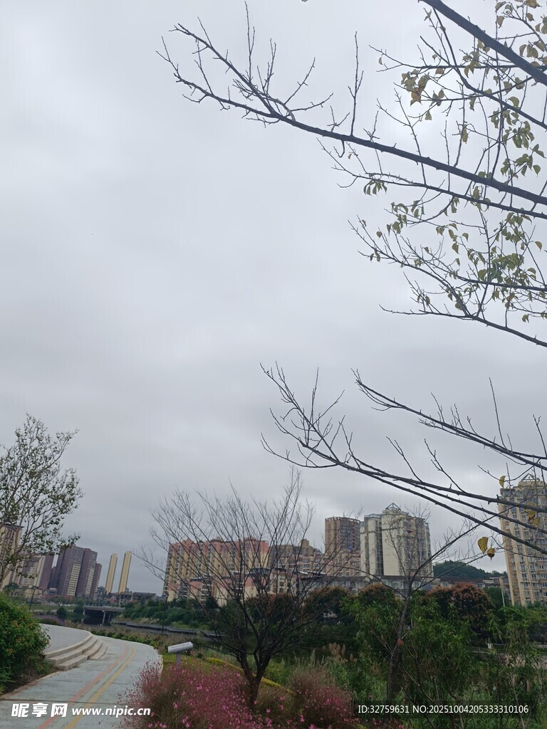 城郊小路旁的綠植與建筑