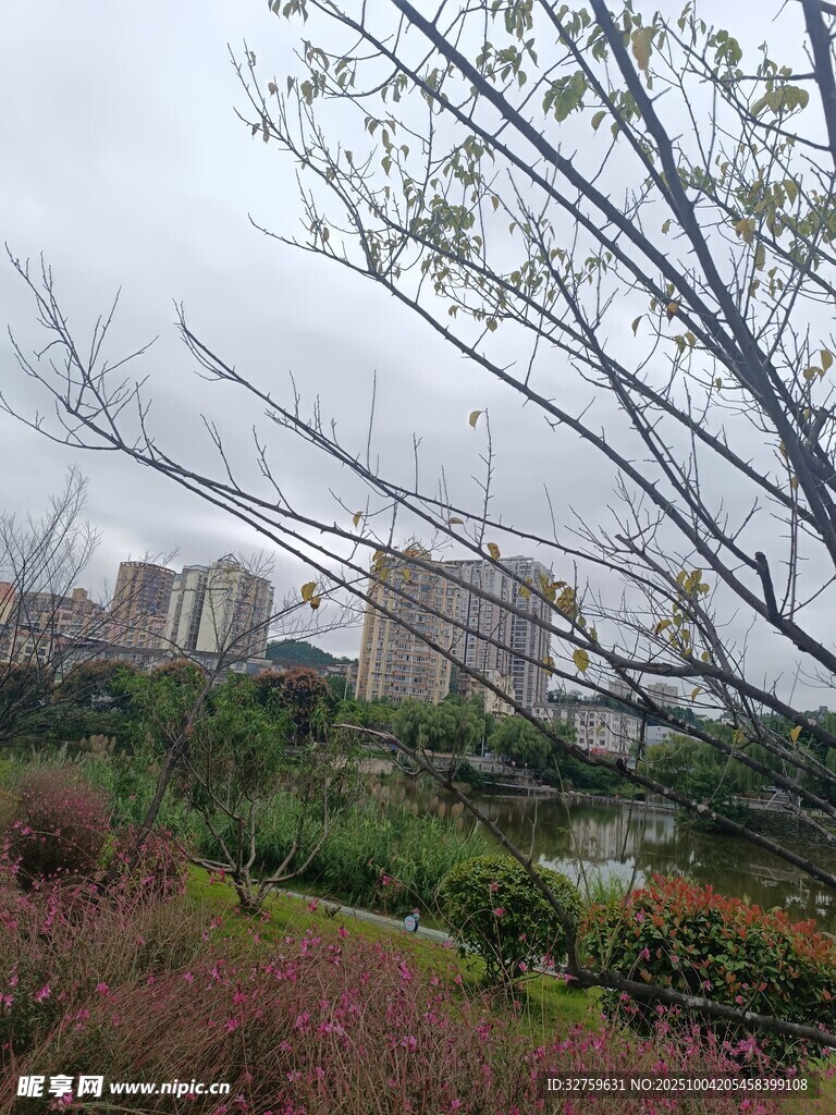 城市中帶綠植的光禿樹(shù)枝