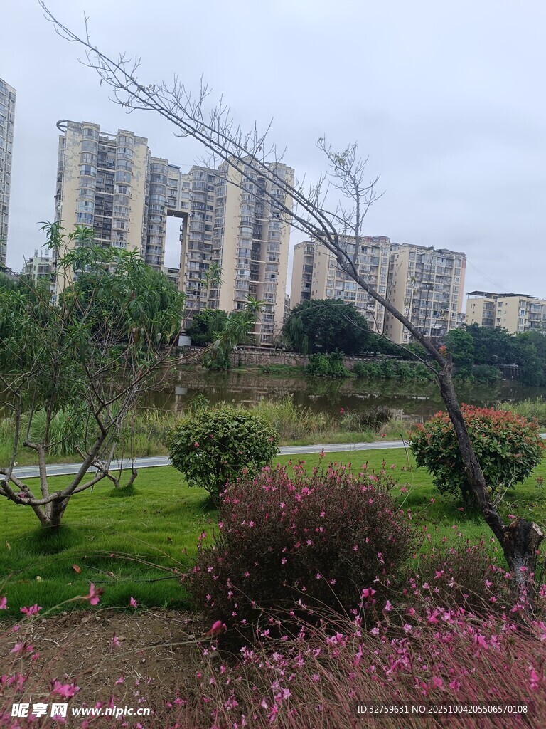 城市中的園林景觀