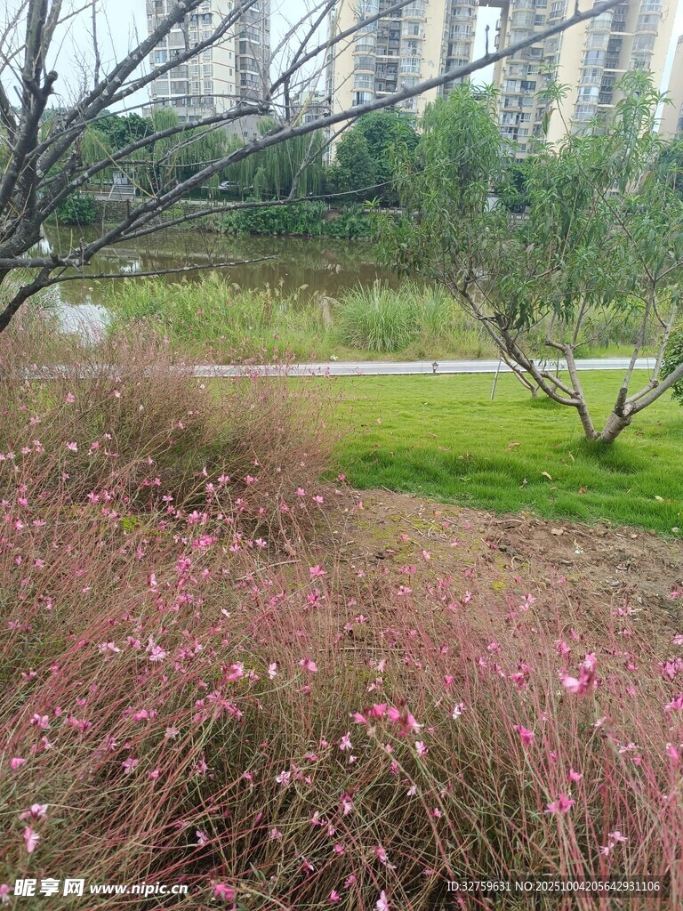 粉色花叢中的城市自然景觀