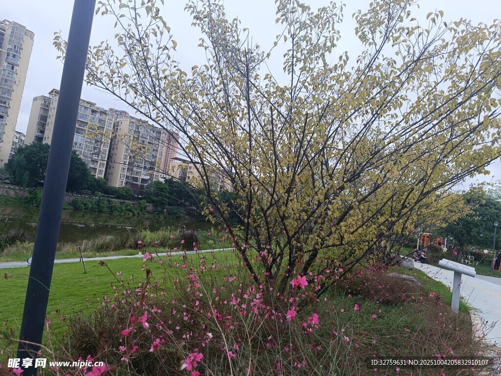 春日路邊繁花綠樹景致