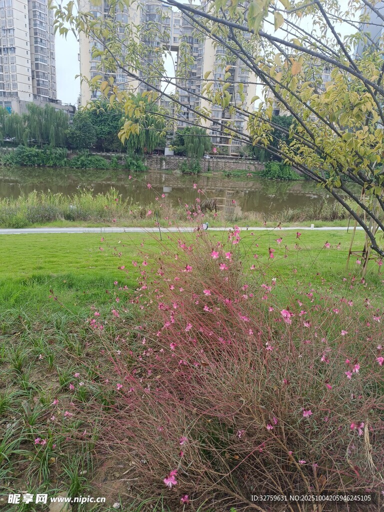 城市綠地中的多彩植物景觀