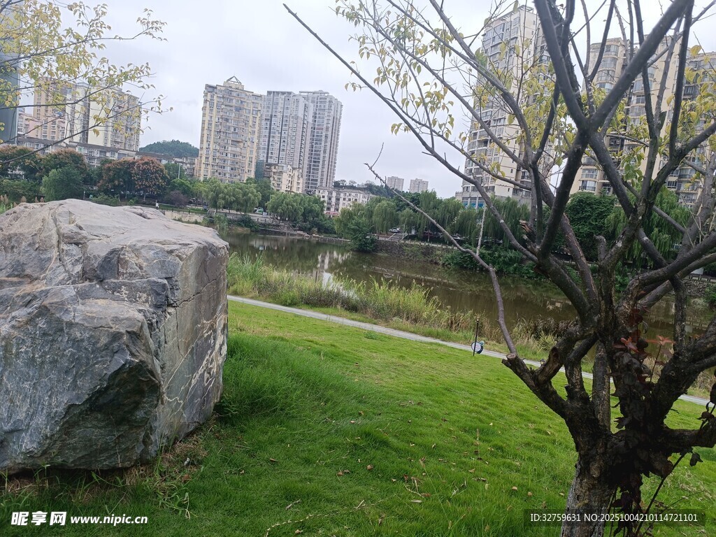 城市綠地中的巨石與樹木