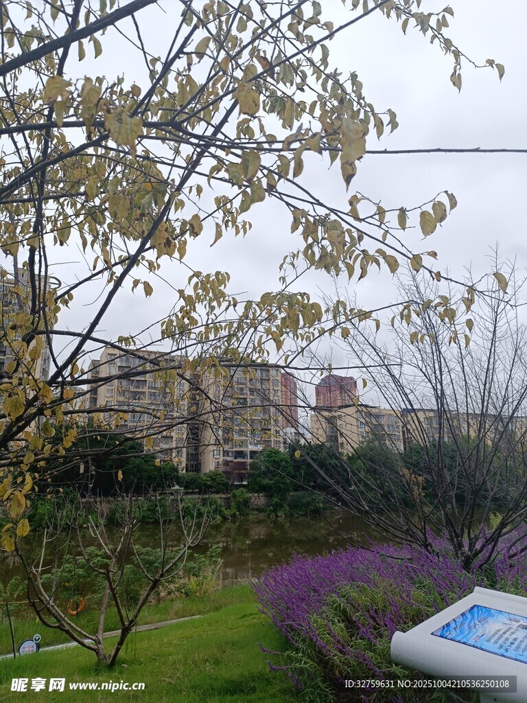 小區(qū)中的綠植與建筑景觀