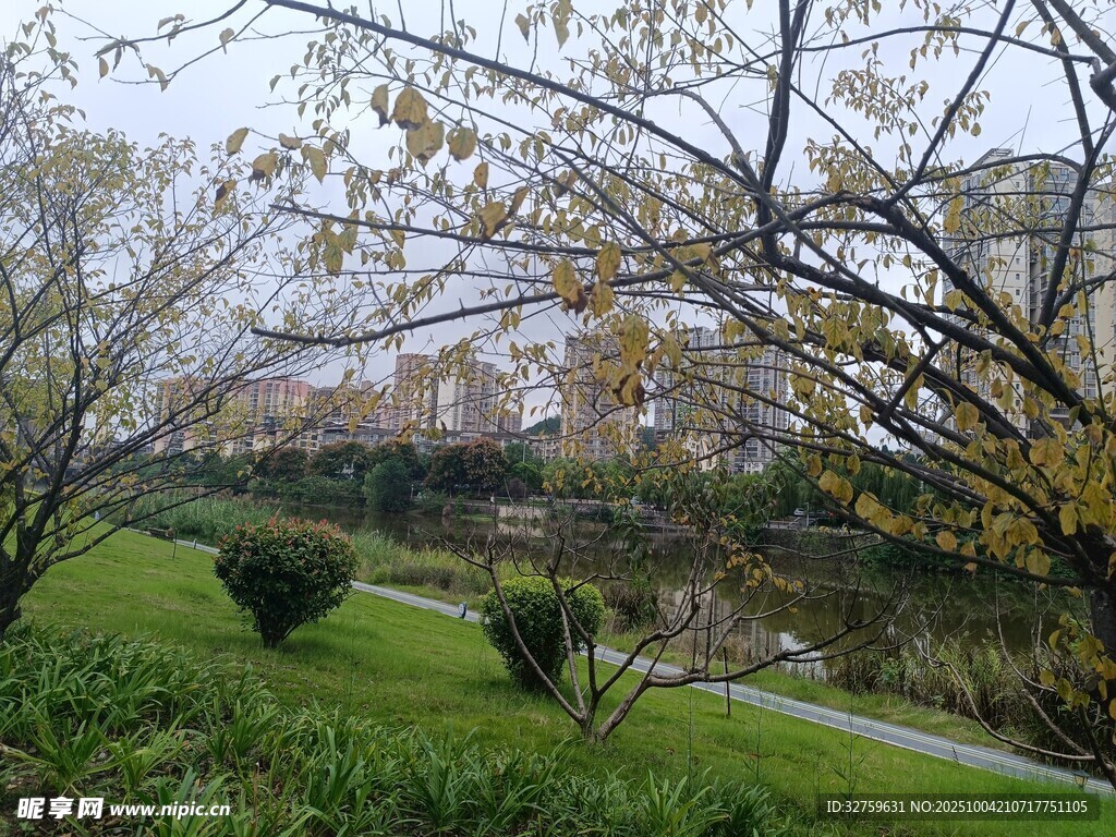 秋日公園景致