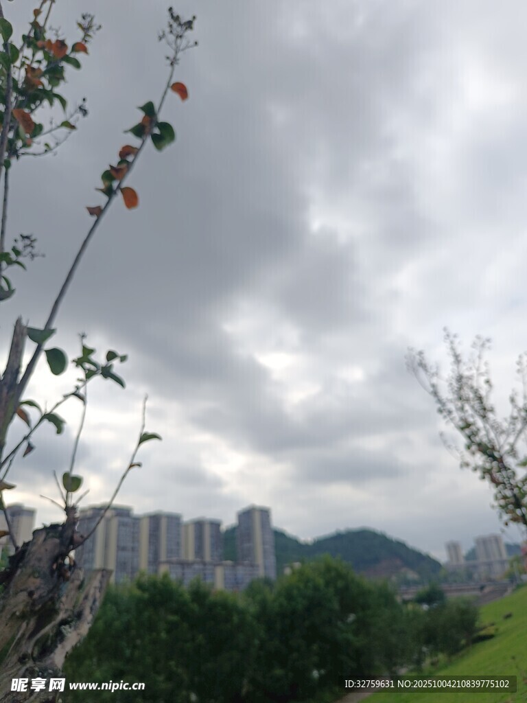 陰天城市邊的綠植與遠(yuǎn)景