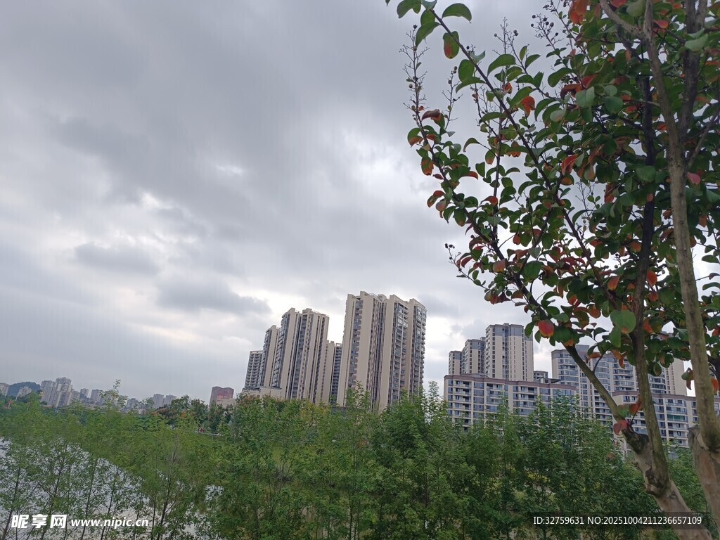 城市邊緣的綠植與高樓