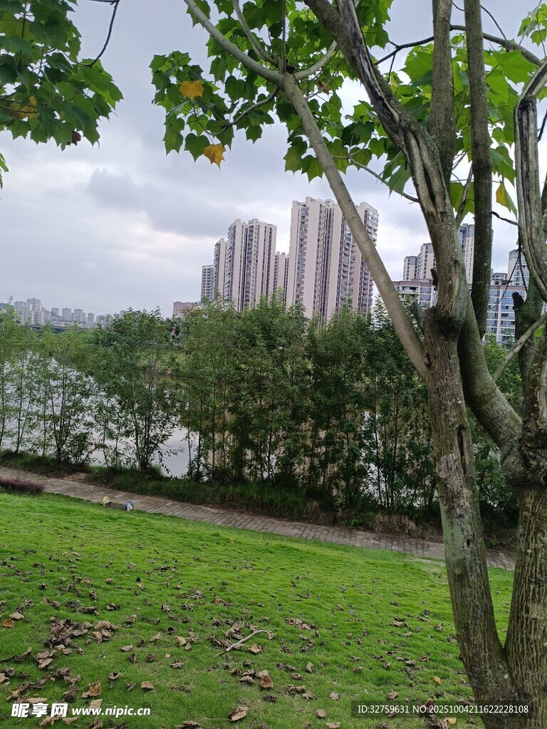 城市公園綠意景觀