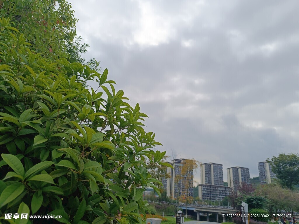 城市邊緣綠植與樓景