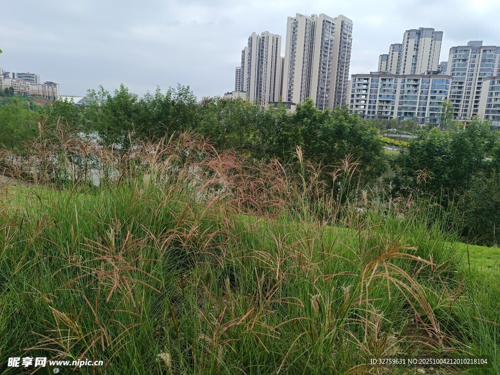 城市邊的草地與高樓景觀
