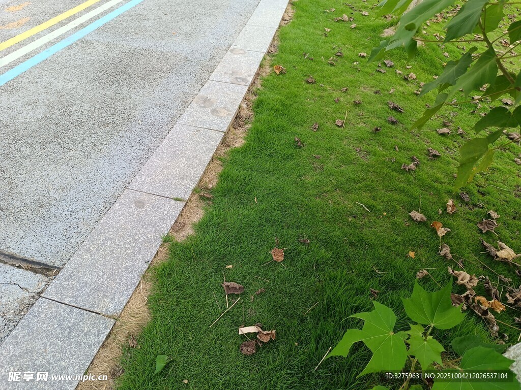 路邊草地與彩色路面