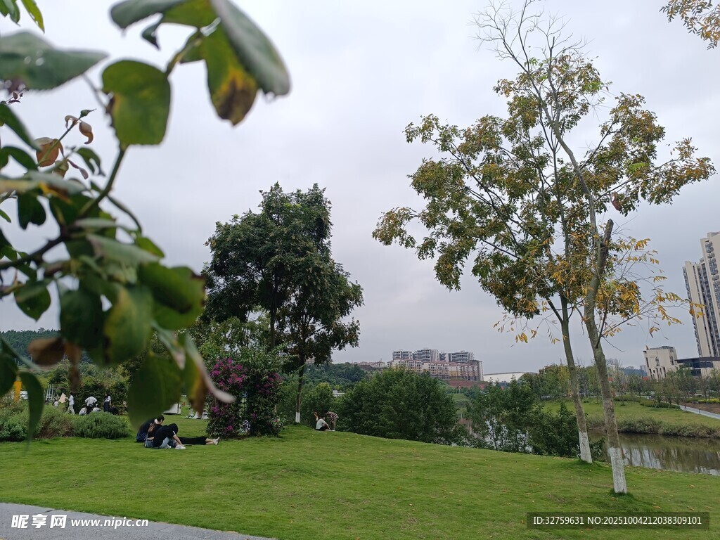 公園綠意景觀