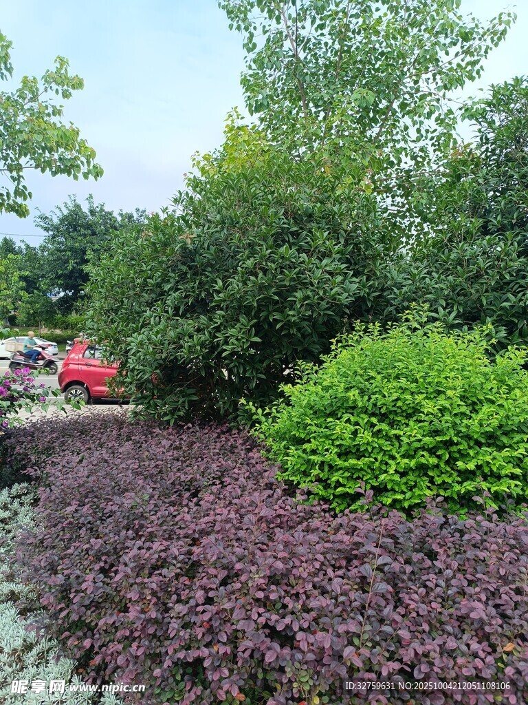多彩植物景觀