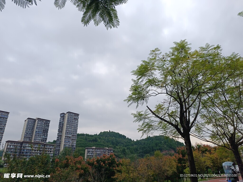 城市與自然交融的風景
