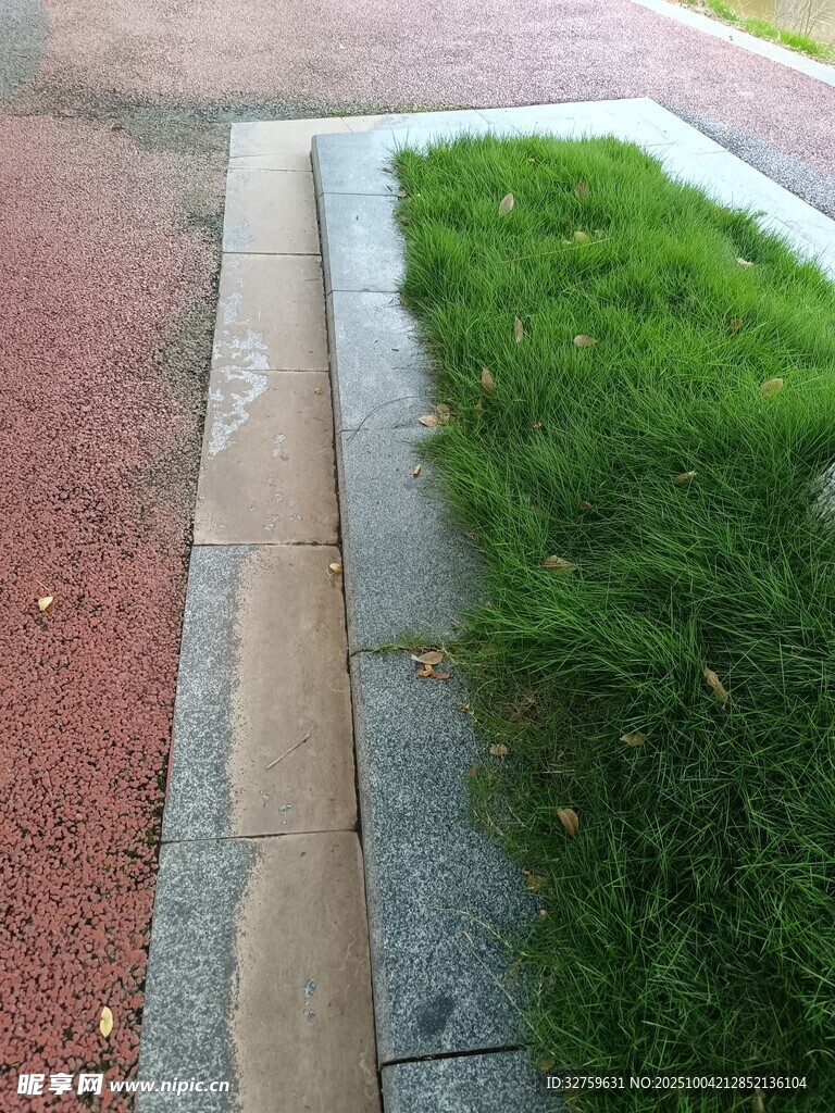 路邊綠化帶中的翠綠草坪