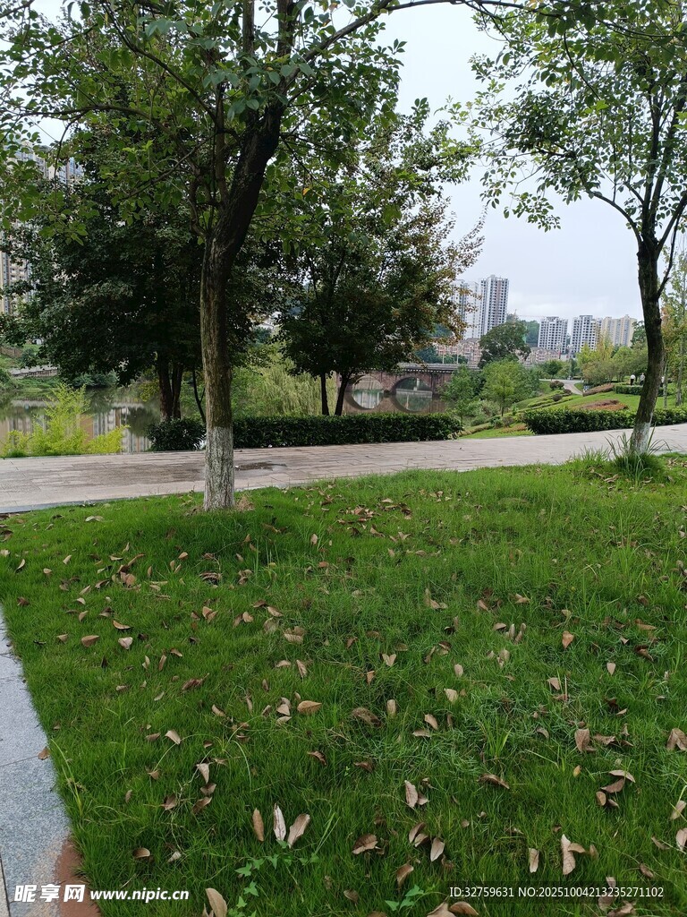 城市公園中的草地與樹木