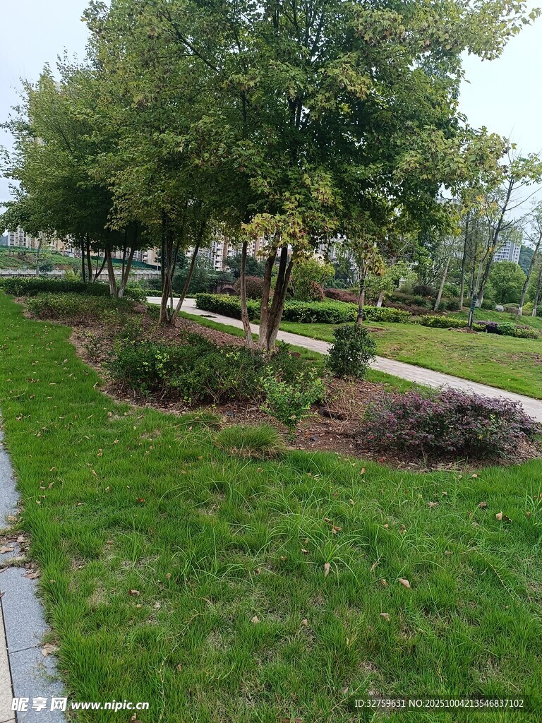 城市中的靜謐綠意景觀