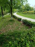 綠意盎然的公園小徑