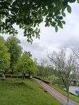 綠意盎然的公園小徑