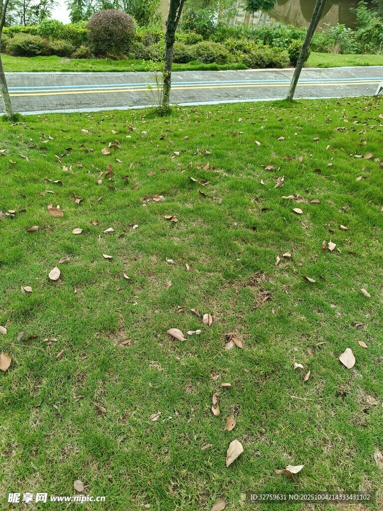戶外草地景觀