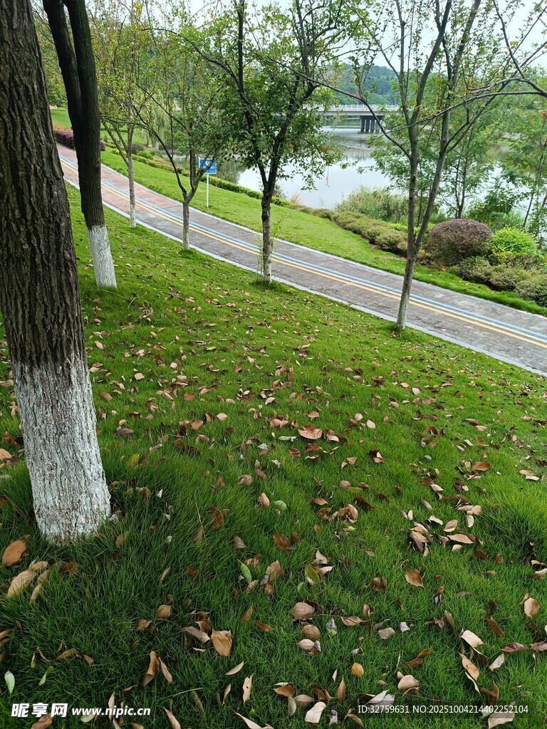 秋日公園小徑綠意與落葉