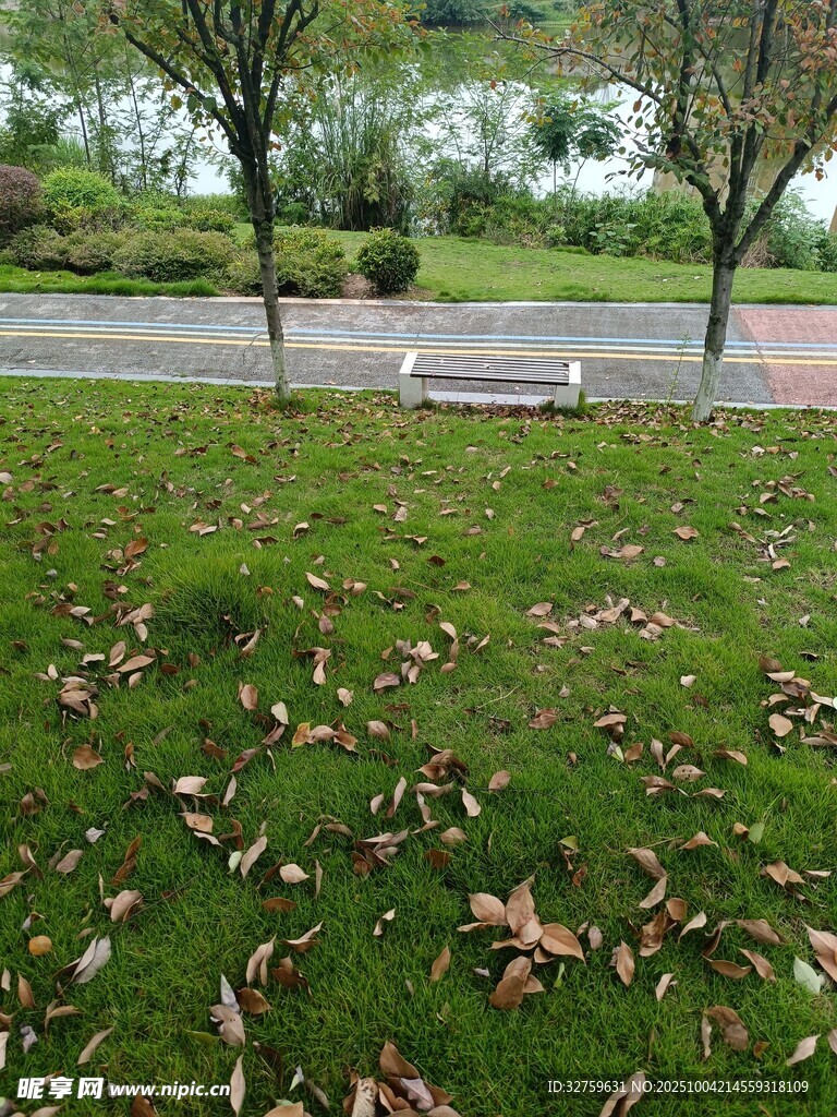 秋日公園草地落葉景象