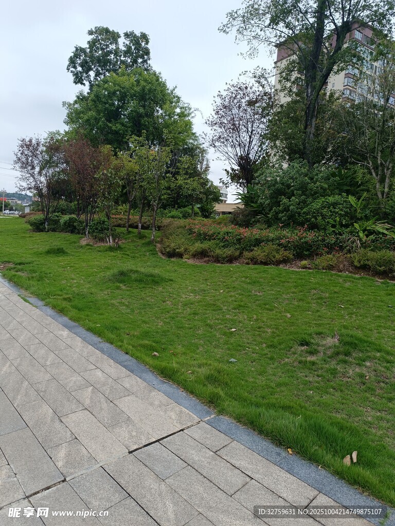 公園中的綠意小徑
