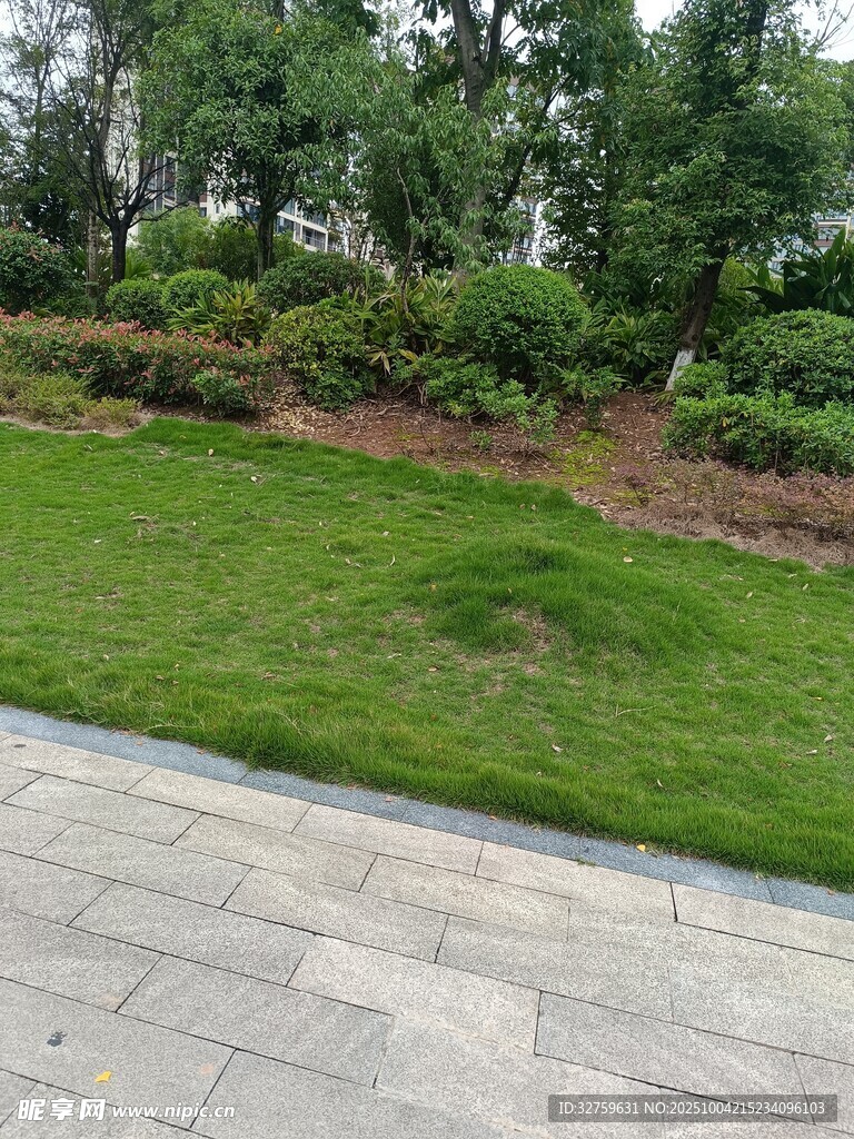 庭院中的翠綠草坪與綠植