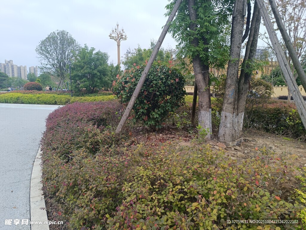 路邊綠植景觀