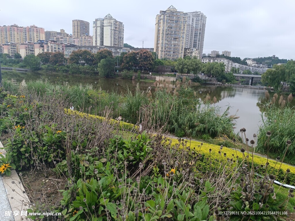 城市河畔綠植景觀