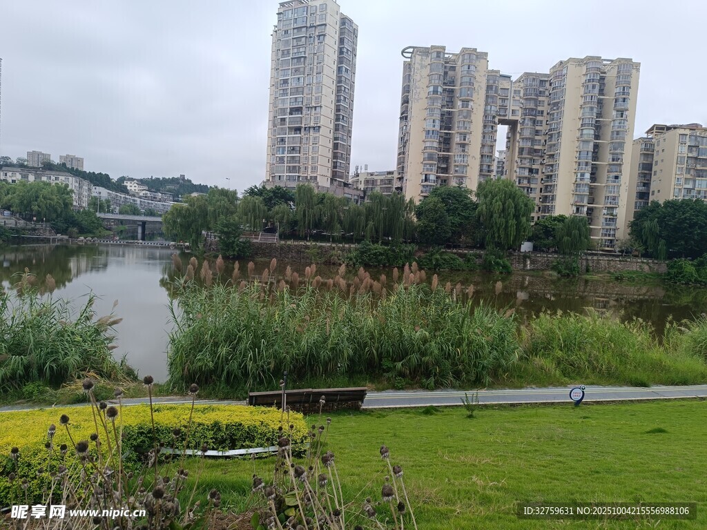 湖畔高樓旁的城市綠地景觀