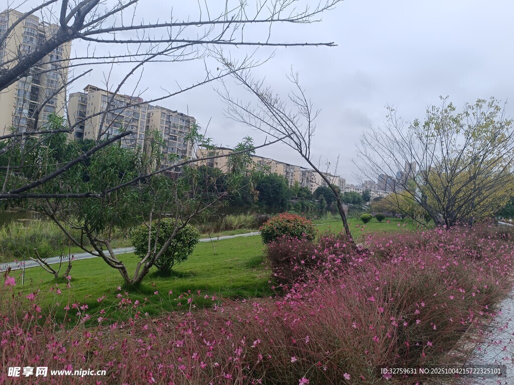 城市公園中的花草與建筑景觀