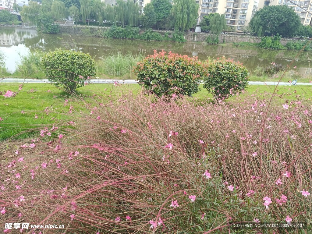 公園中色彩豐富的花草景觀