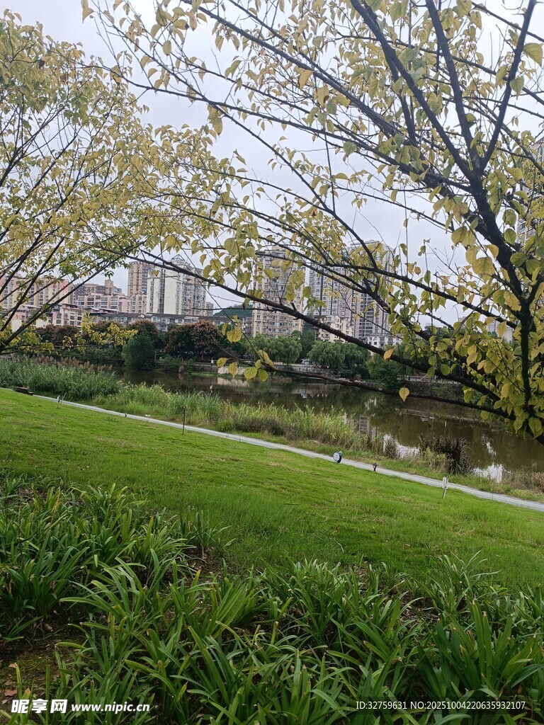 春日園林美景