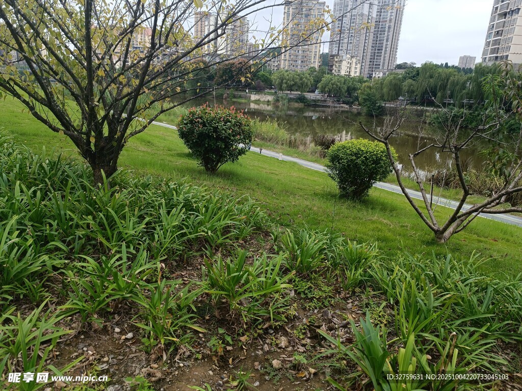 城市中的綠意盎然景觀