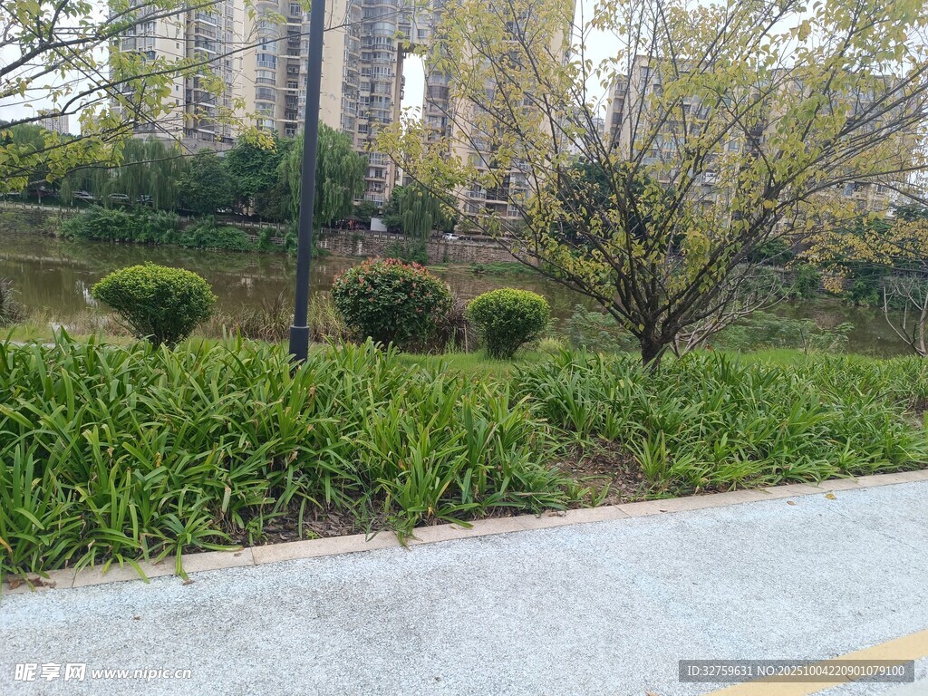 城市路邊綠化帶景觀