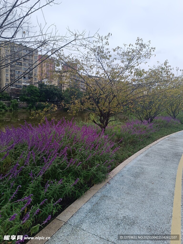 路邊爛漫花叢與蜿蜒小路
