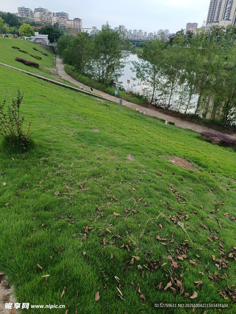 河畔翠綠草地風(fēng)景