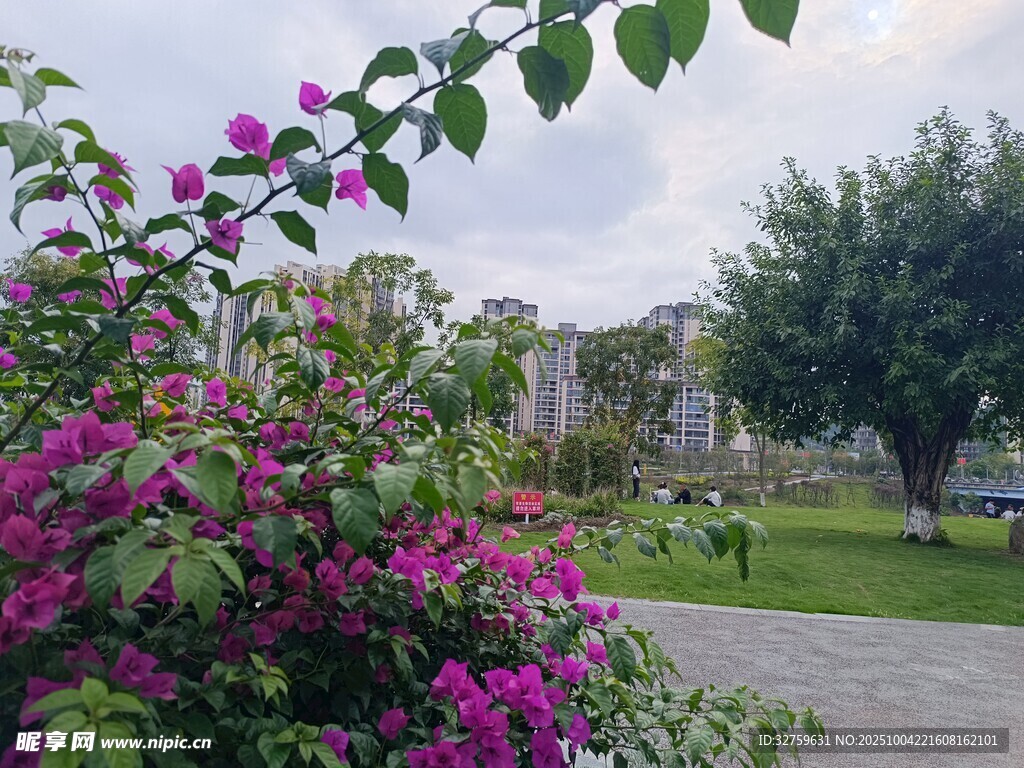 繁花點綴的戶外景致