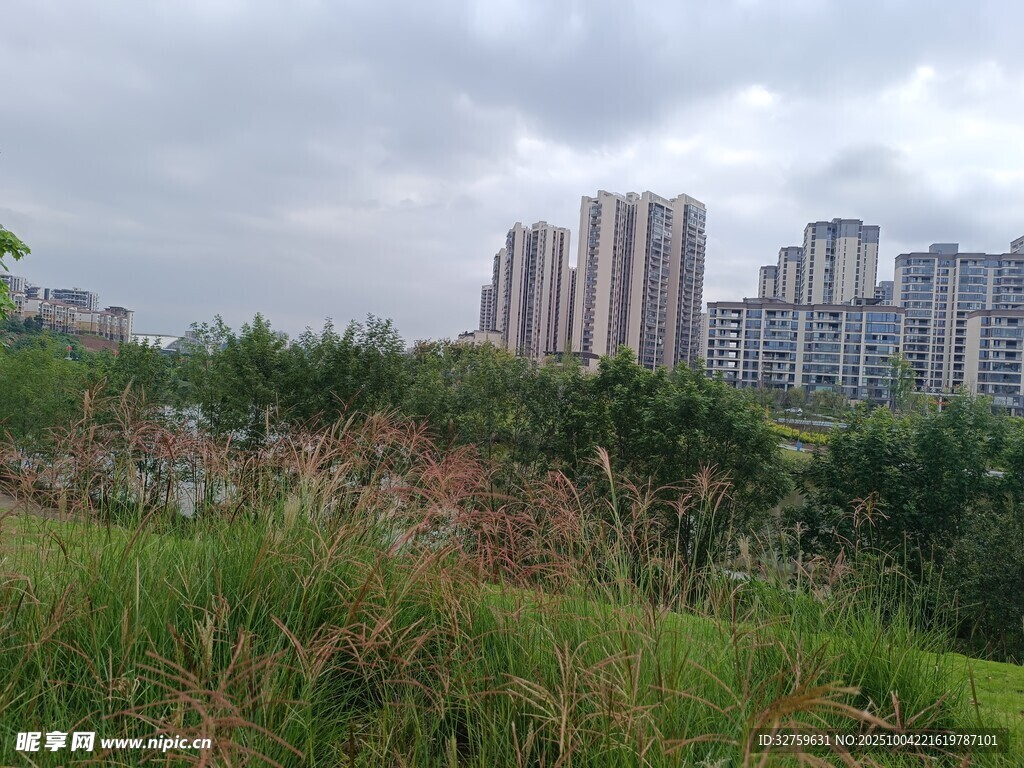 城市邊的草地與高樓景觀