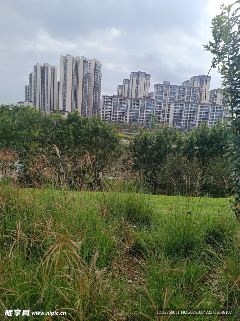 城市邊緣的綠地與高樓