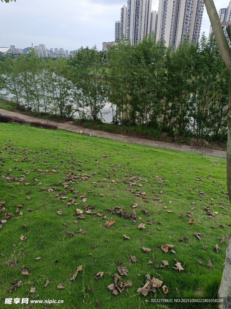 城市綠地中的落葉景觀