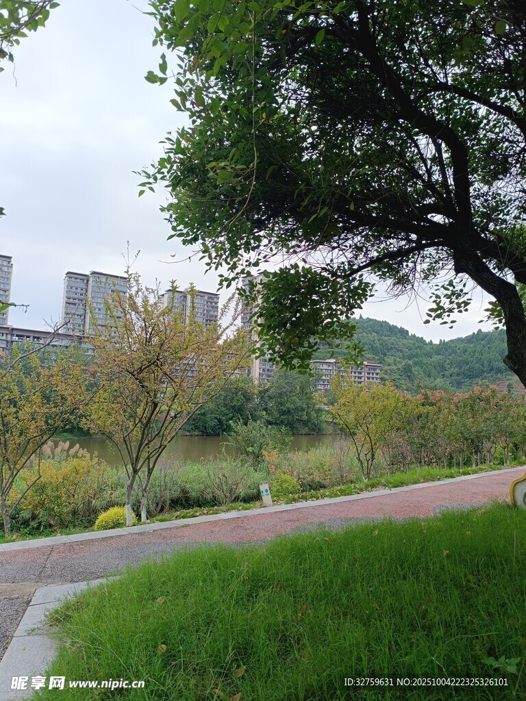 城市公園綠意景觀