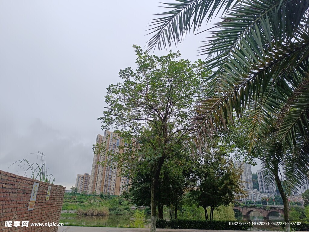 城市中的綠樹(shù)與建筑景觀