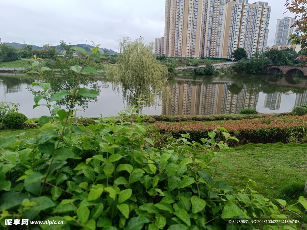 湖畔綠植與遠處高樓景觀