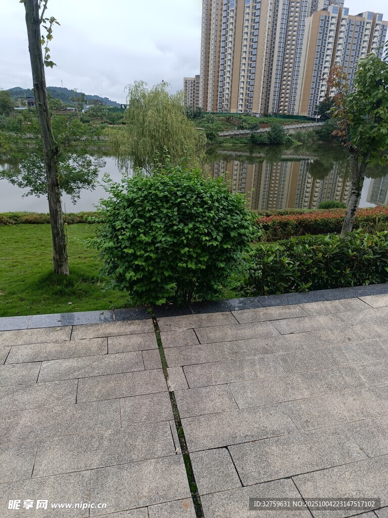 城市湖邊的綠植與建筑景觀