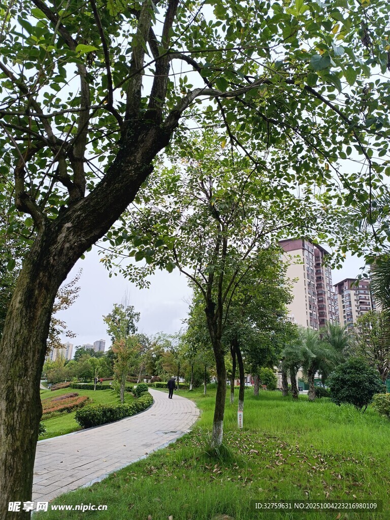 城市中靜謐的林蔭小道