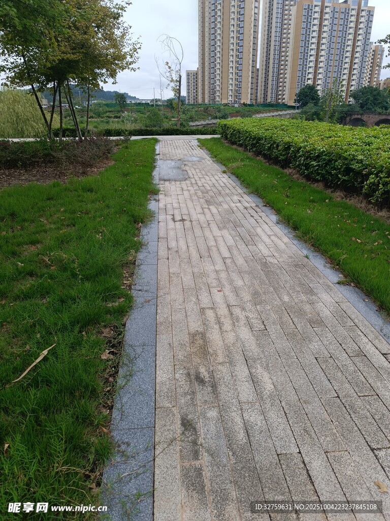 城市中幽靜的林間石板小徑
