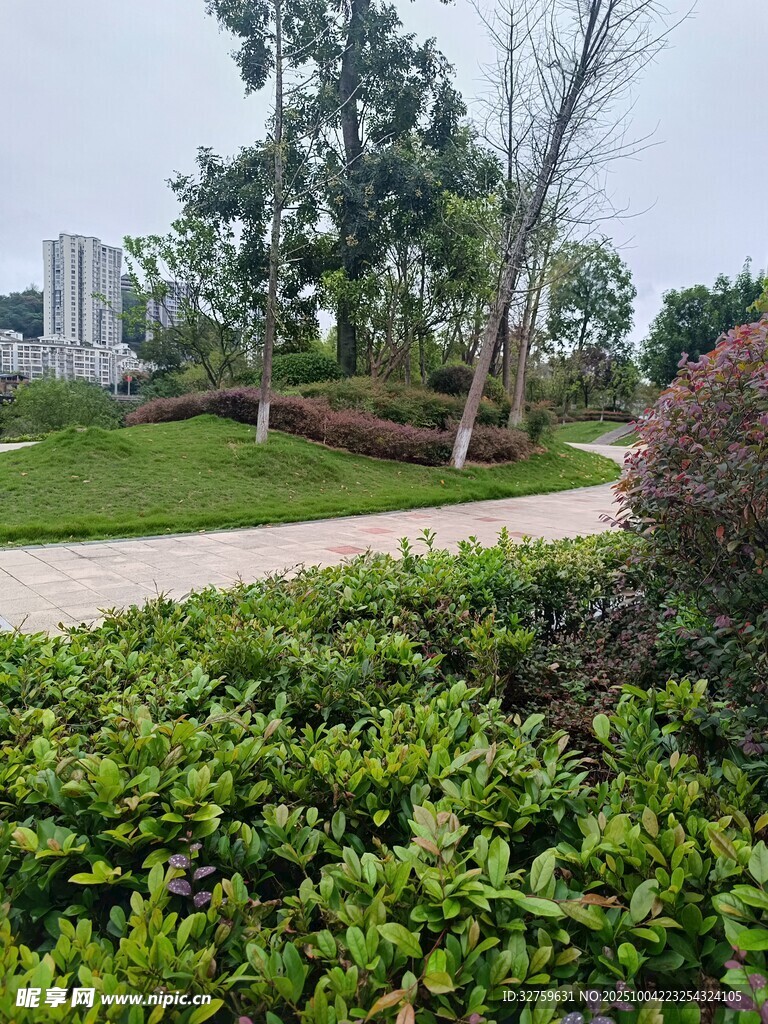 城市中的綠植景觀小徑