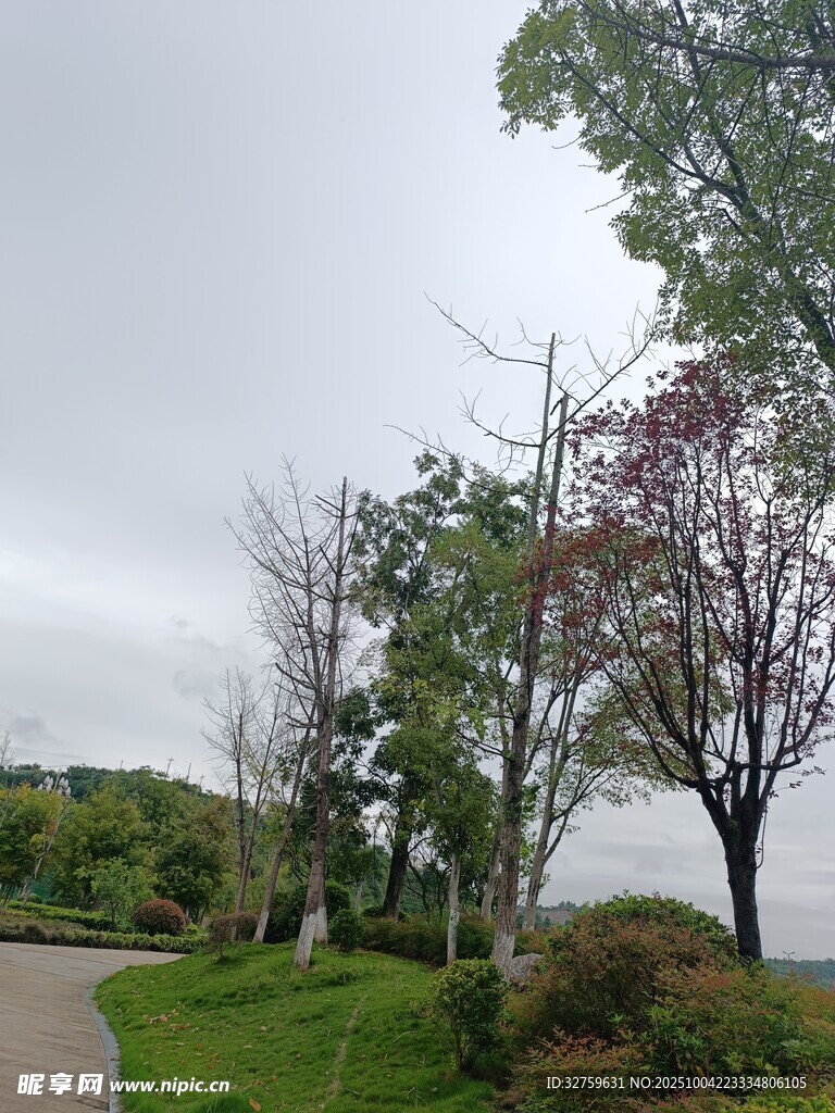 湖畔小徑旁的多彩樹木